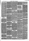 Henley Advertiser Saturday 17 December 1870 Page 3