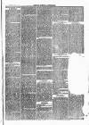 Henley Advertiser Saturday 15 April 1871 Page 3