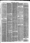 Henley Advertiser Saturday 20 May 1871 Page 5