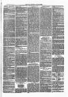 Henley Advertiser Saturday 20 May 1871 Page 7