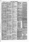 Henley Advertiser Saturday 10 June 1871 Page 3