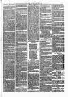 Henley Advertiser Saturday 17 June 1871 Page 7