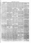 Henley Advertiser Saturday 29 July 1871 Page 5