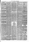 Henley Advertiser Saturday 18 January 1873 Page 7