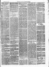 Henley Advertiser Saturday 16 May 1874 Page 7