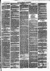 Henley Advertiser Saturday 20 March 1875 Page 7