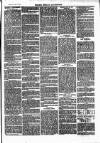 Henley Advertiser Saturday 17 April 1875 Page 7