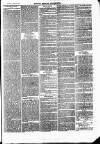 Henley Advertiser Saturday 19 February 1876 Page 7