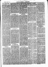 Henley Advertiser Saturday 02 September 1876 Page 3
