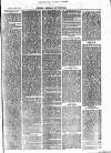 Henley Advertiser Saturday 02 September 1876 Page 5