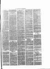 Henley Advertiser Saturday 13 January 1877 Page 7