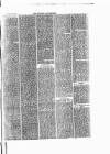 Henley Advertiser Saturday 03 February 1877 Page 5