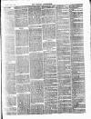 Henley Advertiser Saturday 03 November 1877 Page 3