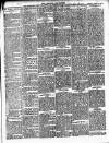 Henley Advertiser Saturday 02 March 1895 Page 3