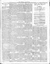 Henley Advertiser Saturday 19 January 1901 Page 3