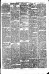 Penrith Observer Tuesday 21 November 1871 Page 7