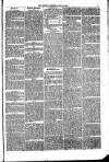Penrith Observer Tuesday 23 April 1872 Page 3