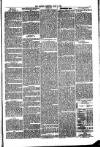 Penrith Observer Tuesday 18 June 1872 Page 3