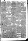Penrith Observer Tuesday 28 January 1873 Page 5