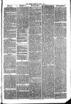 Penrith Observer Tuesday 01 April 1873 Page 3