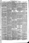 Penrith Observer Tuesday 01 April 1873 Page 5