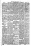 Penrith Observer Tuesday 13 January 1874 Page 3