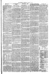 Penrith Observer Tuesday 10 March 1874 Page 3