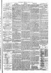 Penrith Observer Tuesday 17 March 1874 Page 3