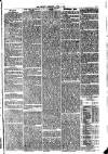 Penrith Observer Tuesday 06 April 1875 Page 3