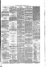 Penrith Observer Tuesday 22 February 1876 Page 3