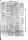 Penrith Observer Tuesday 14 March 1876 Page 5