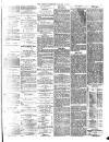 Penrith Observer Tuesday 22 January 1878 Page 3