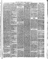 Penrith Observer Tuesday 24 January 1882 Page 6