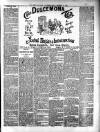 Berks and Oxon Advertiser Friday 21 December 1894 Page 7