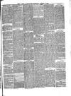 Lakes Chronicle and Reporter Saturday 03 March 1877 Page 3