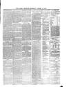 Lakes Chronicle and Reporter Saturday 26 January 1878 Page 3