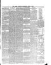 Lakes Chronicle and Reporter Saturday 06 April 1878 Page 3