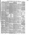 Lakes Chronicle and Reporter Saturday 13 April 1878 Page 3