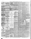 Lakes Chronicle and Reporter Saturday 01 June 1878 Page 2