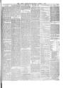 Lakes Chronicle and Reporter Saturday 01 March 1879 Page 3