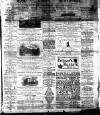 Lakes Chronicle and Reporter Friday 06 January 1882 Page 1