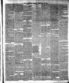 Lakes Chronicle and Reporter Friday 17 February 1882 Page 3