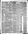 Lakes Chronicle and Reporter Friday 24 March 1882 Page 3
