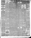 Lakes Chronicle and Reporter Friday 22 December 1882 Page 3