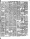 Lakes Chronicle and Reporter Friday 15 February 1884 Page 3