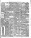 Lakes Chronicle and Reporter Friday 22 February 1884 Page 3