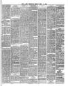 Lakes Chronicle and Reporter Friday 11 April 1884 Page 3