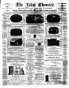 Lakes Chronicle and Reporter Friday 31 October 1884 Page 1