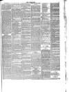 Lakes Chronicle and Reporter Friday 07 May 1886 Page 5