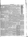 Lakes Chronicle and Reporter Friday 14 May 1886 Page 5